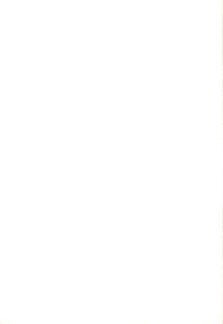 Page 41 of Osasoi Bunny