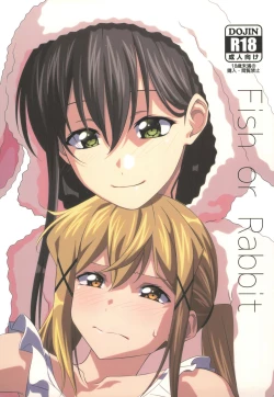 Page 1 of Fish or Rabbit