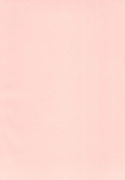 Page 4 of Watashi dake shika Shiranai