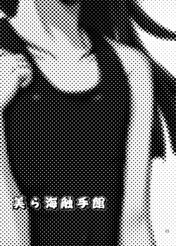 Page 3 of Churaumi Shokushukan ichigoreader