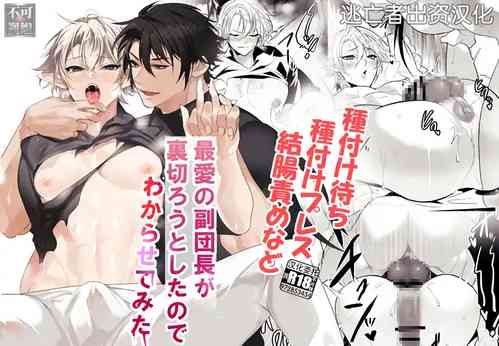 Download 最愛の副団長が裏切ろうとしたのでわからせてみた