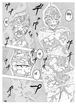 Page 27 of Tokeyukumamani