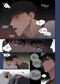 Page 26 of Camping|露营