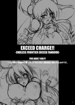 Page 3 of EXCEED CHARGE