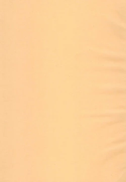 Page 3 of Together with Venti !