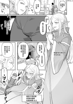 Page 14 of 悪いエルフ♂を魔法でシーメールにして改心させる話