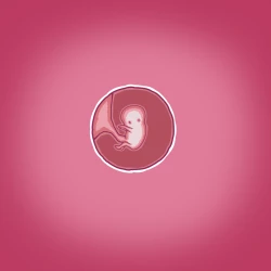 Page 27 of Yumi's Study Abroad/由美的留学生活（汉化）（连载中）