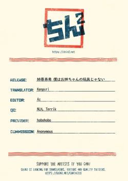 Page 17 of Anesonteihi Boku wa Onee-chan no Omocha ja nai