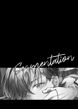Page 28 of segmentation