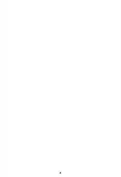 Page 3 of 秋のユメランド