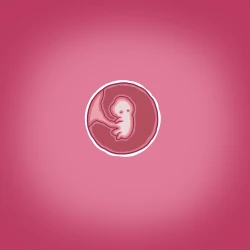 Page 27 of Yumi's Study Abroad/由美的留学生活（汉化）（连载中）