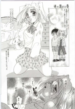 Page 147 of Imouto no Nureta Kuchibiru