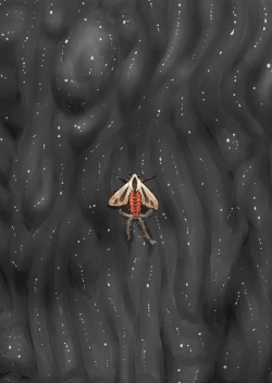 Page 2 of Shock Shoku BreGure 6