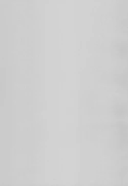 Page 3 of THE Asadachi