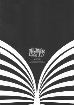 Page 24 of Soushisouai DESTINY