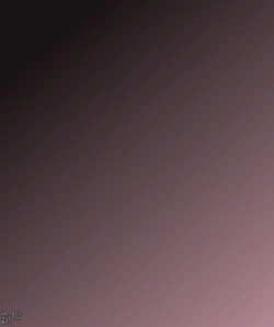 Page 10 of Girls world side FSG+第二部（机翻）