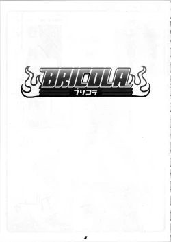 Page 3 of BRICOLA