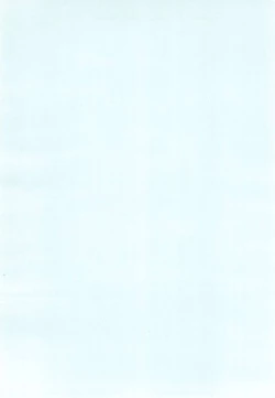 Page 4 of White & White 1.5