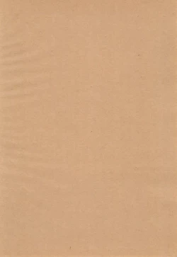 Page 4 of Obsesion y Monopolio