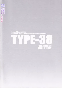 Page 22 of TYPE-38