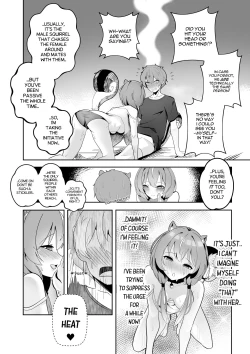 Page 6 of SQUIRRELS IN HEAT