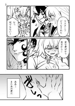 Page 25 of Fgo matome 6