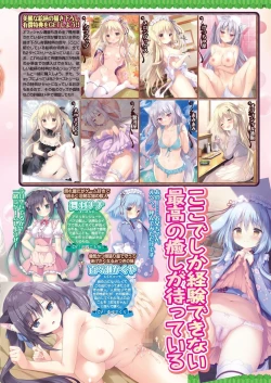 Page 55 of BugBug 2023-11