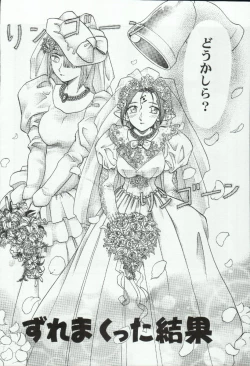 Page 36 of Elisiss ga Deteru Hon Kanzenban