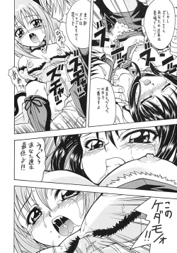 Page 41 of Asaban Festa