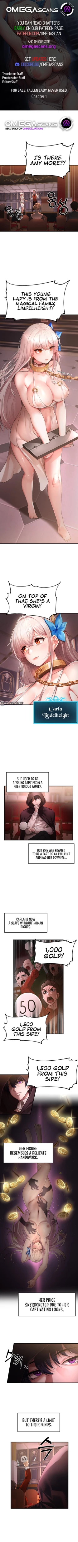 Page 2 of For Sale: Fallen Lady, Never Used