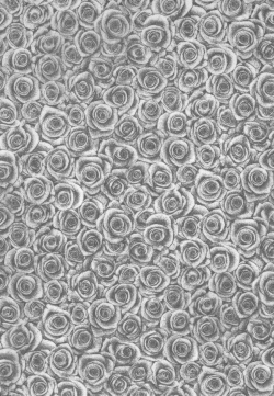 Page 4 of alicepowder