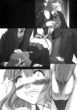 Page 21 of ILH - I Love Hermione