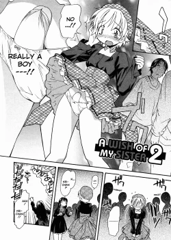 Page 28 of Oneechan no Onegai - A Wish of my Sister