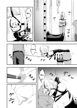 Page 13 of Seidorei Kari