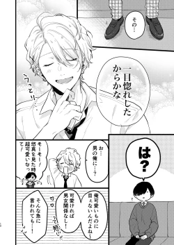 Page 11 of ヤンキーくんのお気に入りなんてお断り!