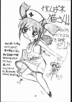 Page 40 of ノンオイル青じそ どれみっしんぐ