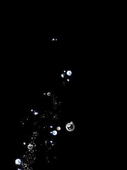 Page 63 of 怪盗シルバーキャット漫画版 全話【中国翻訳】