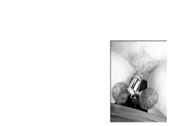 Page 50 of Kousai Bare, Koubu Zaseki de Netorare Choukyou