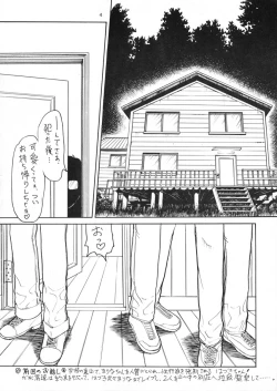 Page 3 of Pishipishi