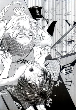 Page 19 of Kyousei Hatsujou