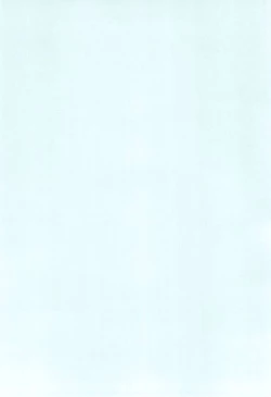 Page 52 of PPG FLASH!