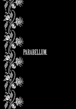 Page 20 of Parabellum