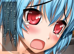 Page 13 of Two Diaries