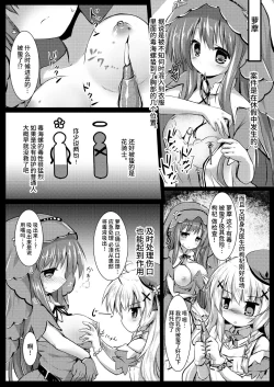 Page 14 of Gaichuu Higai Houkokusho File 4