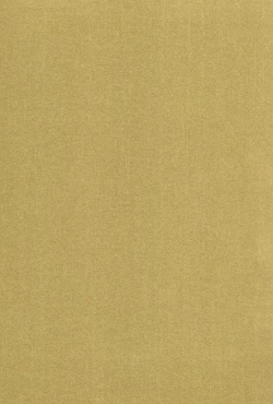 Page 37 of Sneak away from the fest.