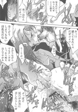 Page 18 of Ingyaku no Hirenka