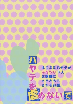 Page 22 of Hayate o Ijimenaide