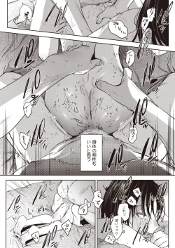 Page 41 of COMIC HOTMILK 2024-07