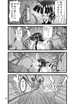 Page 34 of Injū shinshi