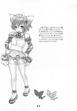 Page 32 of Ibarinbou Chihuahua